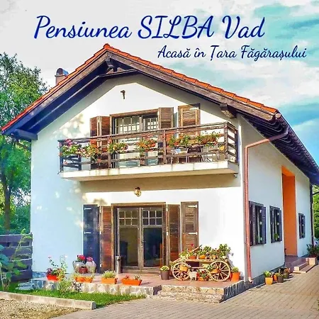 Guest house Pensiunea Silba 3*
