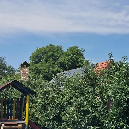 Pensiunea Silba Guest house