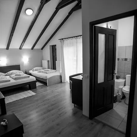 Pensiunea Silba Guest house 3*