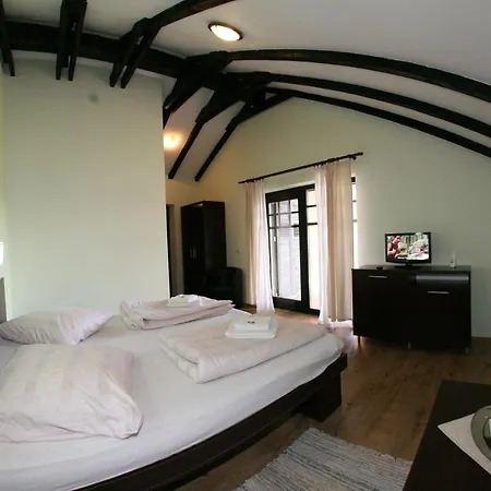 Pensiunea Silba 3* Vad (Brasov)