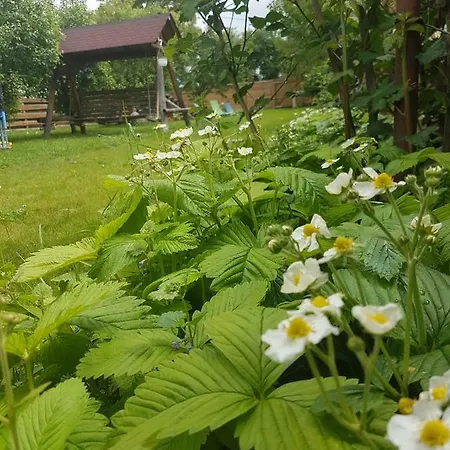 Pensiunea Silba